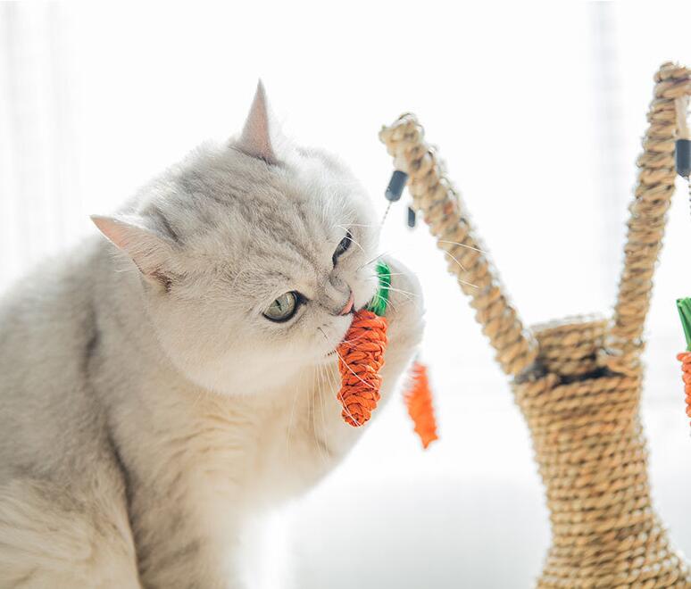 Arbre à Chat avec Plateformes et Griffoir – Tapis Doux Inclus