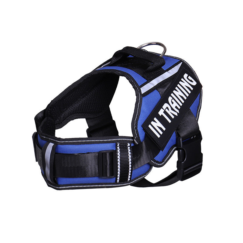 Neck Support Dog Harness with Reflective Pet Chest Harness and Leash, Direct Factory Supply Dog Lead and Pet Leash