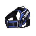 Neck Support Dog Harness with Reflective Pet Chest Harness and Leash, Direct Factory Supply Dog Lead and Pet Leash