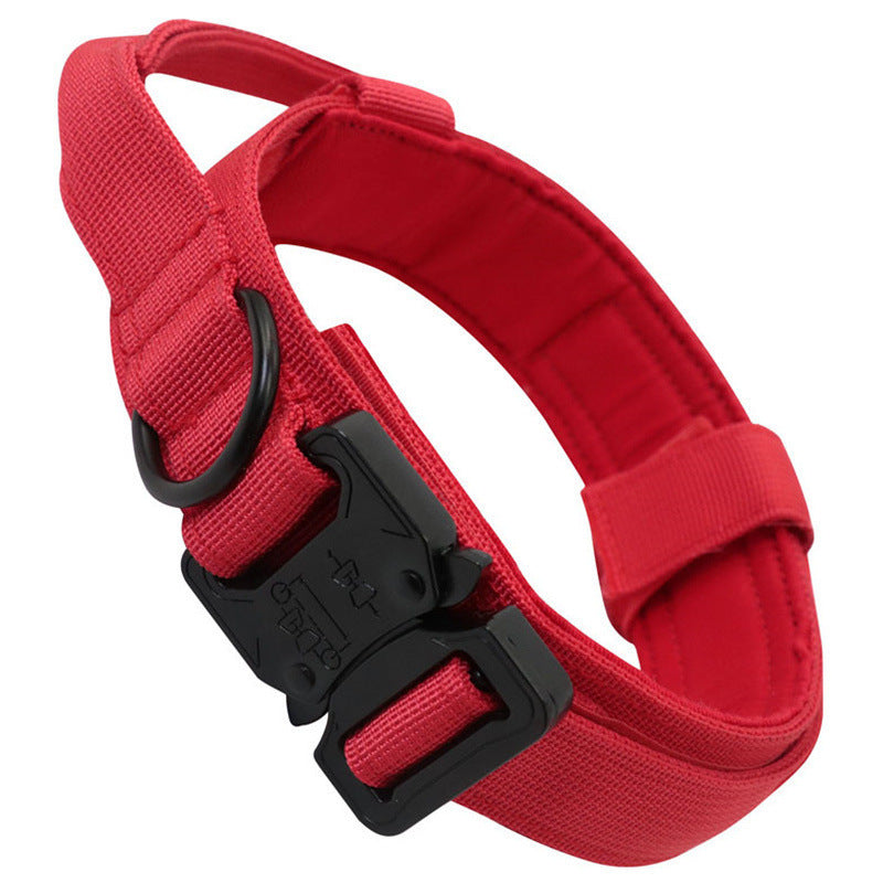Collier & Laisse Tactique pour Chien – Entraînement Outdoor