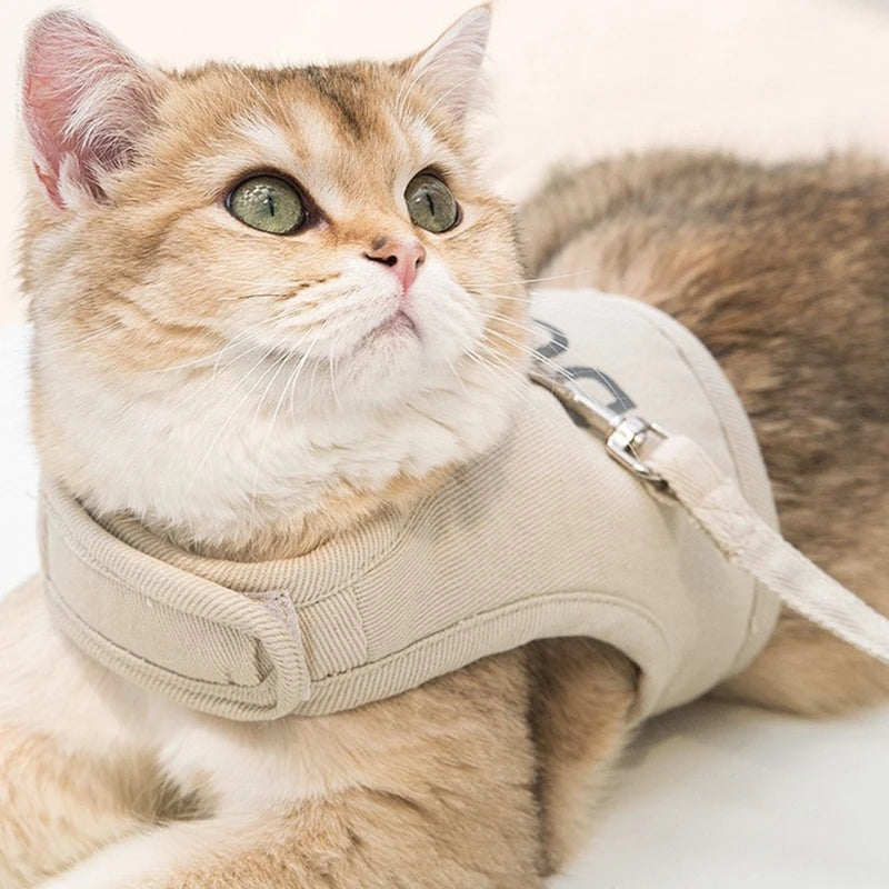 Harnais et Laisse pour Chat et Chien – Réglable et Confortable