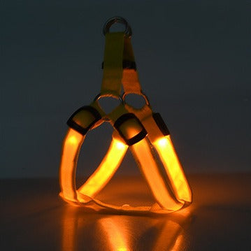 Harnais Lumineux LED pour Chien – Sécurité Nuit
