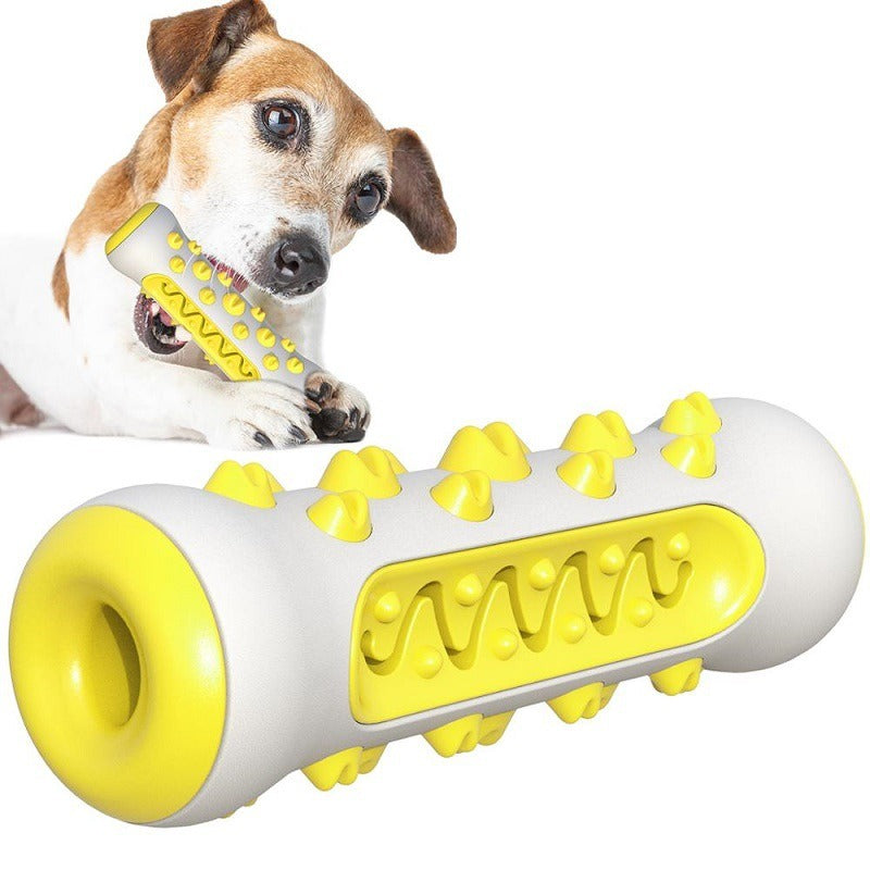 Jouet Molaire pour Chien – Brosse à Dents & Mordant