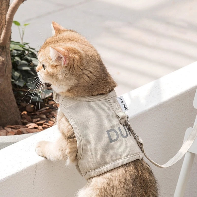 Harnais et Laisse pour Chat et Chien – Réglable et Confortable