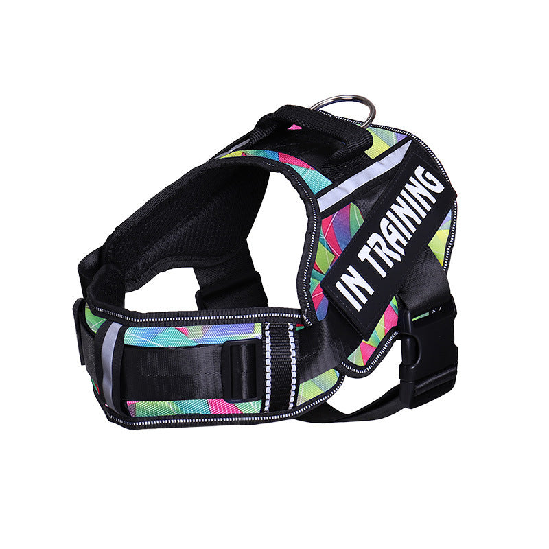 Neck Support Dog Harness with Reflective Pet Chest Harness and Leash, Direct Factory Supply Dog Lead and Pet Leash