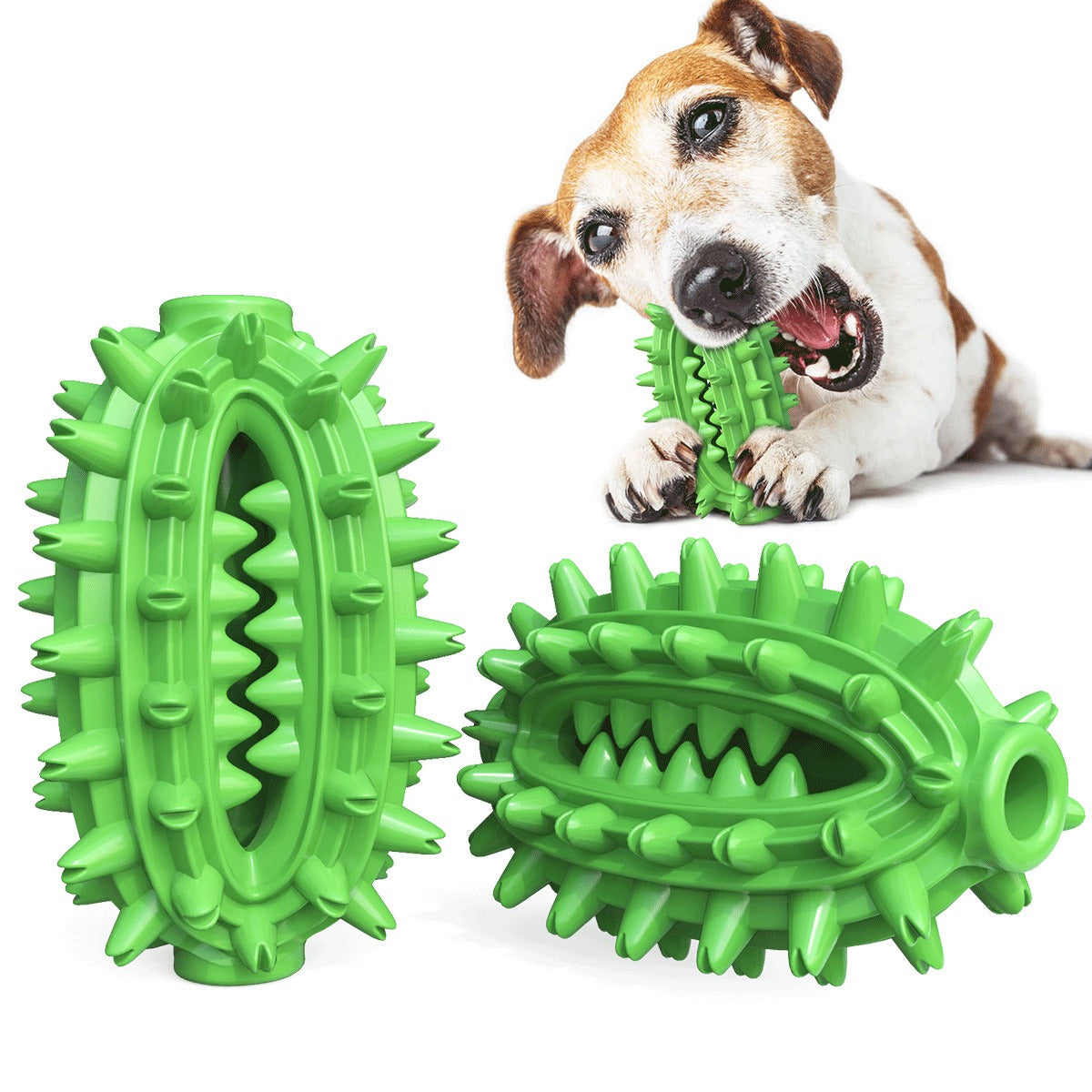 Jouet Molaire pour Chien – Brosse à Dents & Mordant