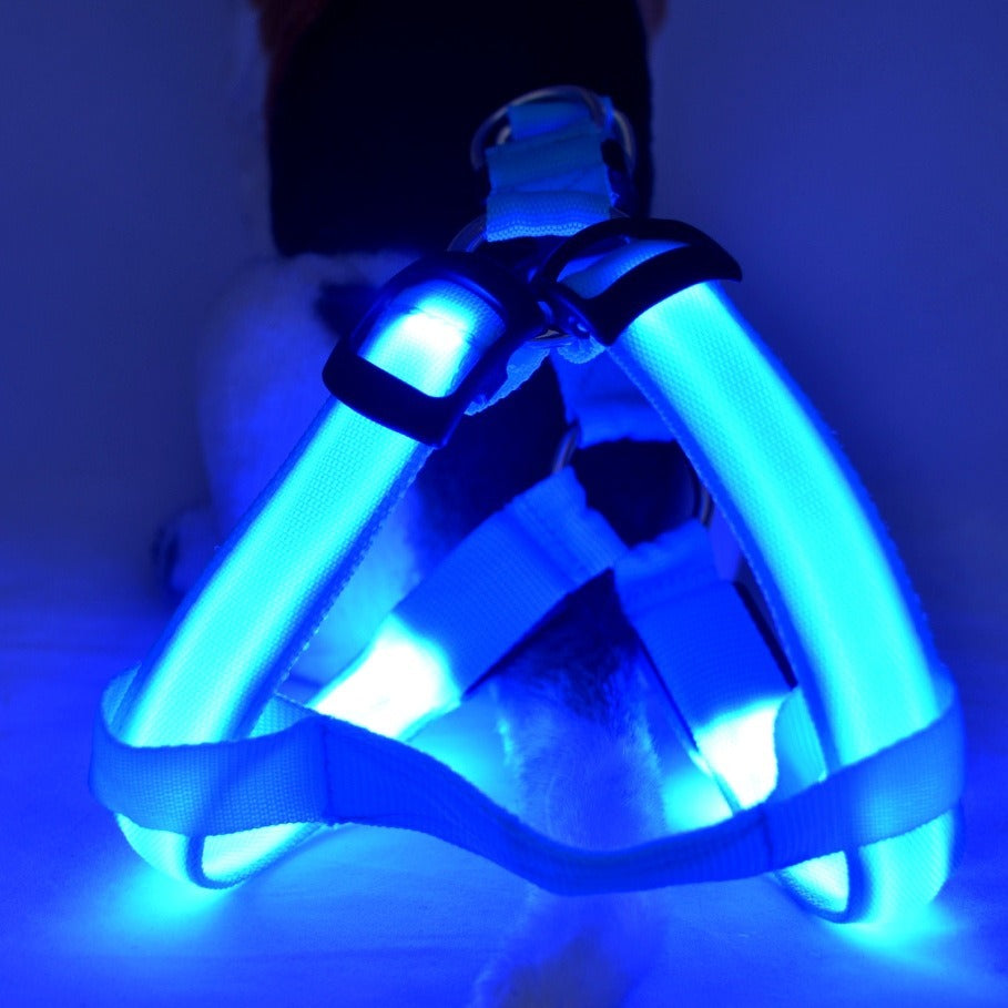 Harnais Lumineux LED pour Chien – Sécurité Nuit