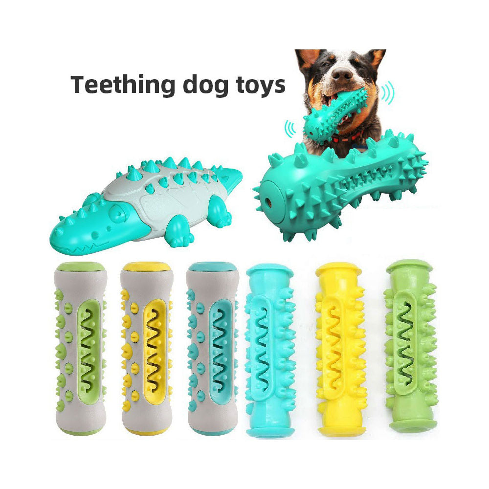 Jouet Molaire pour Chien – Brosse à Dents & Mordant