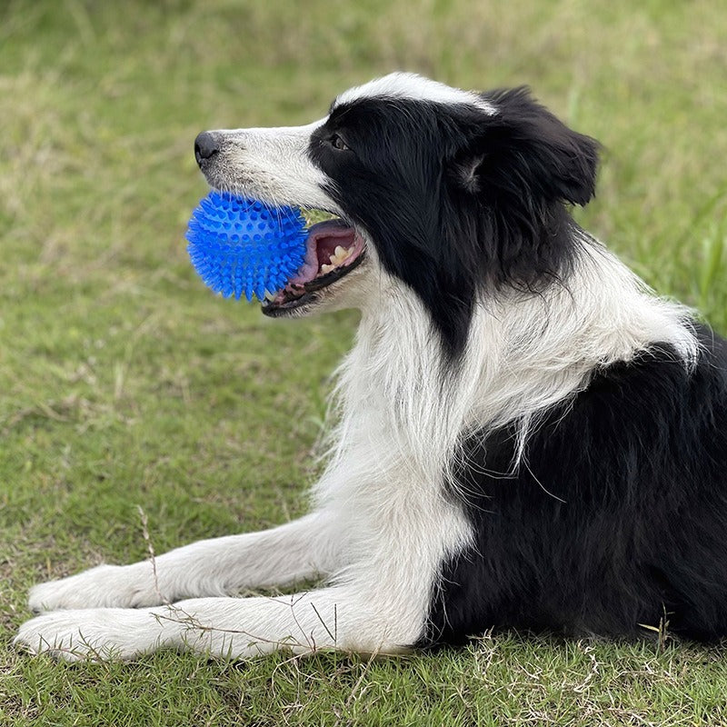 Balle Piquante Sonore pour Chien – Jouet Molaire 9cm