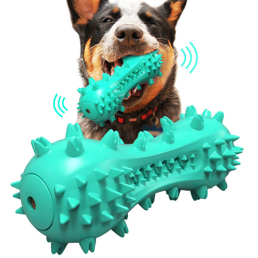 Jouet Molaire pour Chien – Brosse à Dents & Mordant