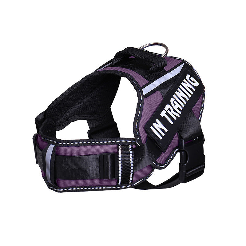 Neck Support Dog Harness with Reflective Pet Chest Harness and Leash, Direct Factory Supply Dog Lead and Pet Leash
