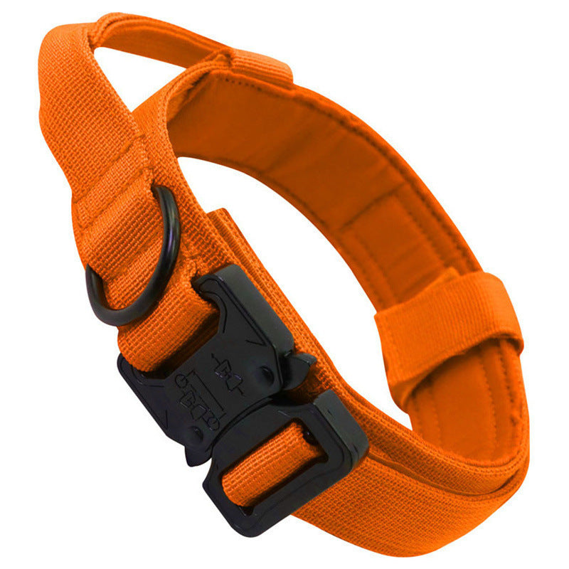 Collier & Laisse Tactique pour Chien – Entraînement Outdoor
