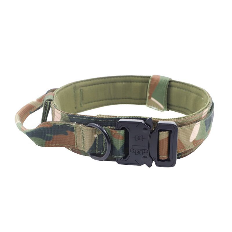 Collier Tactique Nylon pour Chien – Laisse Outdoor Ajustable