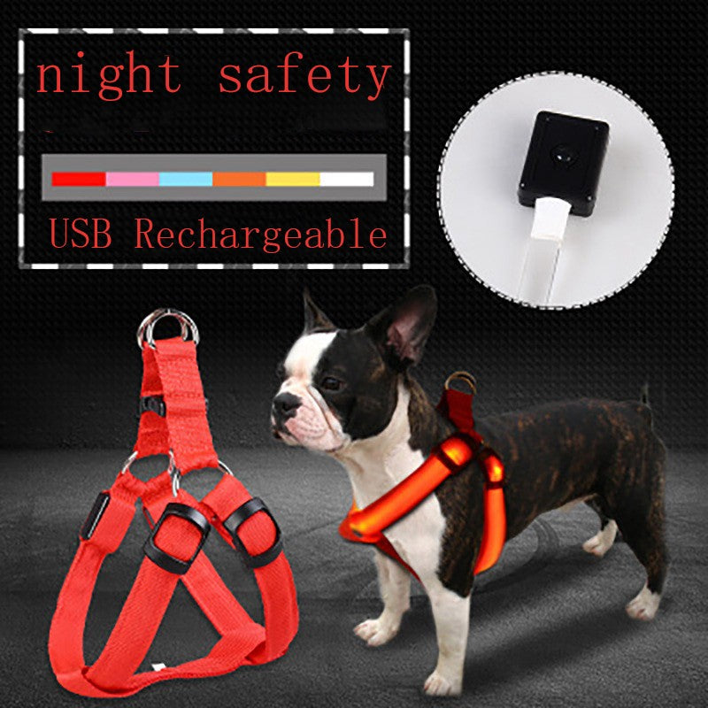 Harnais Lumineux LED pour Chien – Sécurité Nuit