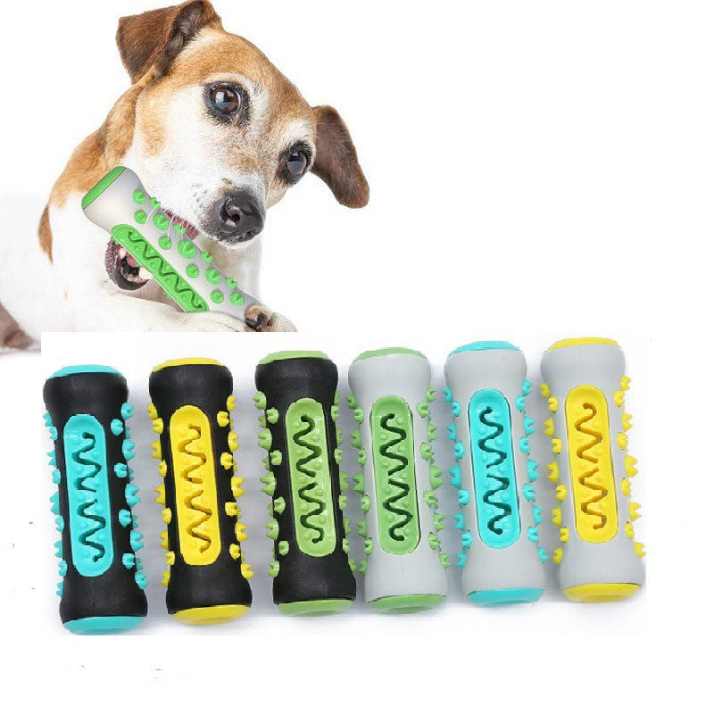 Jouet Molaire pour Chien – Brosse à Dents & Mordant
