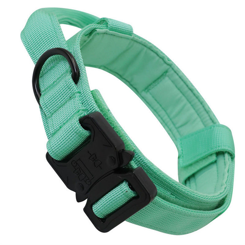 Collier & Laisse Tactique pour Chien – Entraînement Outdoor
