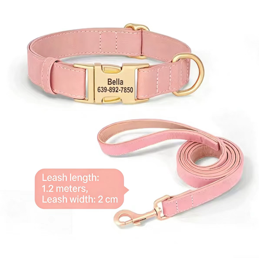 Collier Personnalisé pour Petit Chien – Teddy, Corgi & Petites Races