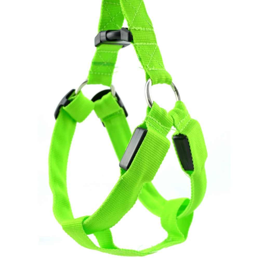 Harnais Lumineux LED pour Chien – Sécurité Nuit