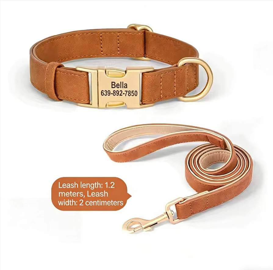 Collier Personnalisé pour Petit Chien – Teddy, Corgi & Petites Races