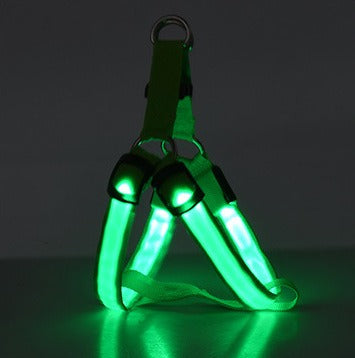 Harnais Lumineux LED pour Chien – Sécurité Nuit