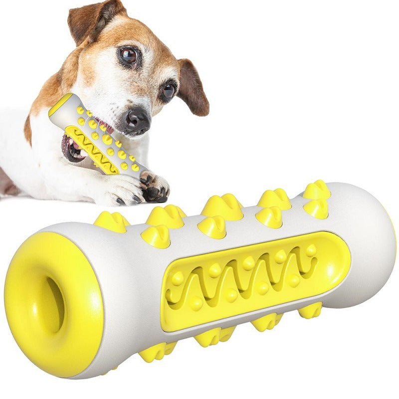 Jouet Molaire pour Chien – Brosse à Dents & Mordant