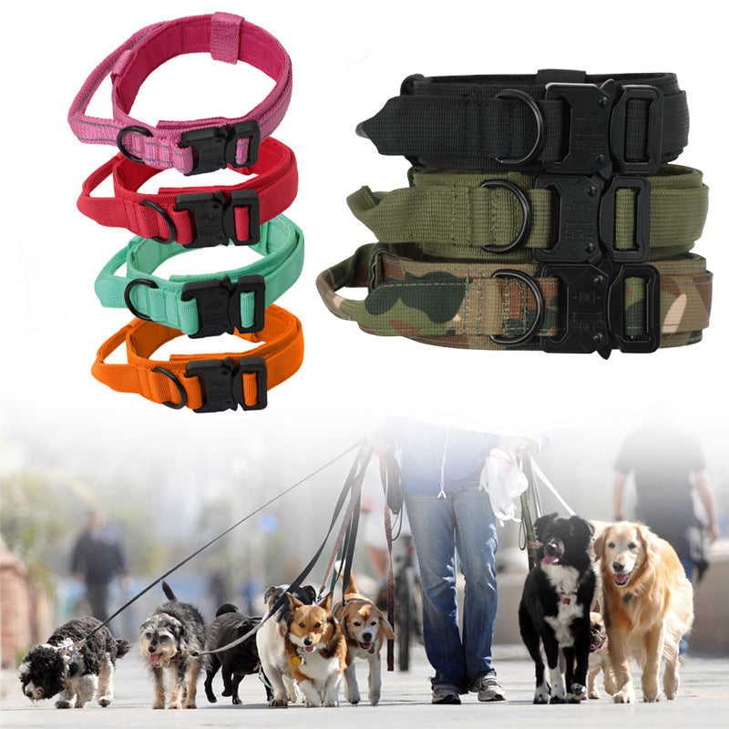 Collier & Laisse Tactique pour Chien – Entraînement Outdoor
