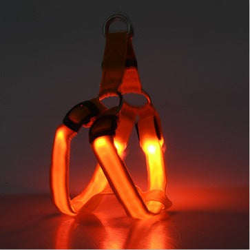 Harnais Lumineux LED pour Chien – Sécurité Nuit