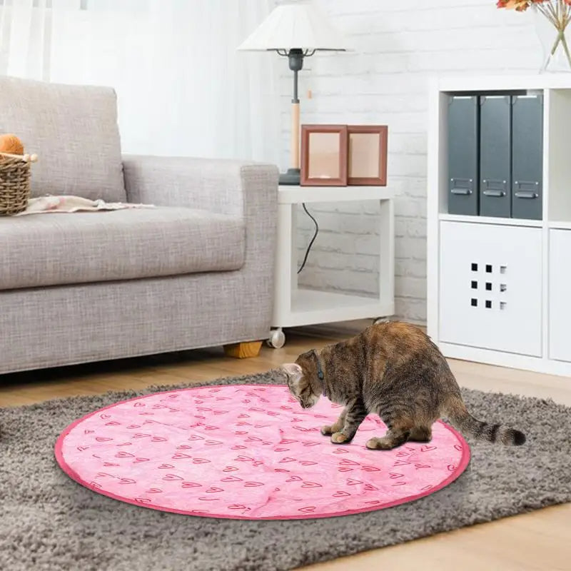 Jouet Interactif pour Chat – Chasse Simulée Anti-Ennui
