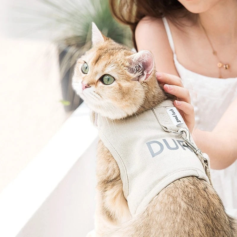 Harnais et Laisse pour Chat et Chien – Réglable et Confortable