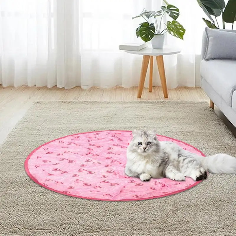 Jouet Interactif pour Chat – Chasse Simulée Anti-Ennui