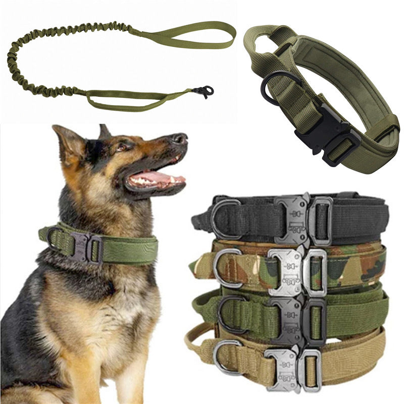 Collier Tactique Nylon pour Chien – Laisse Outdoor Ajustable