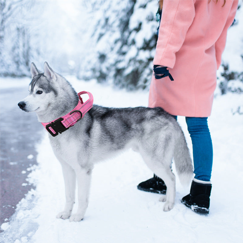 Collier & Laisse Tactique pour Chien – Entraînement Outdoor