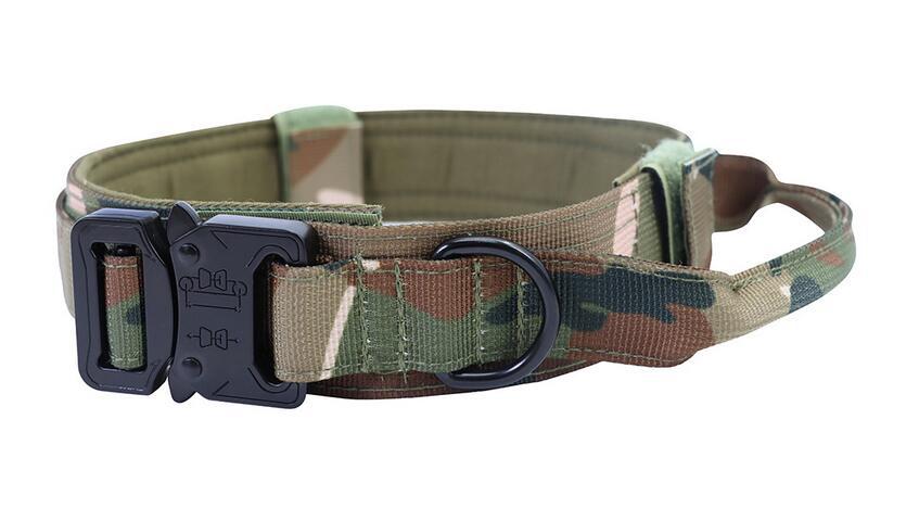 Collier & Laisse Tactique pour Chien – Entraînement Outdoor
