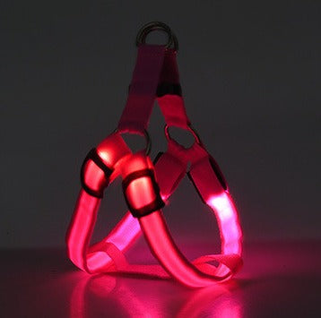 Harnais Lumineux LED pour Chien – Sécurité Nuit