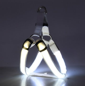 Harnais Lumineux LED pour Chien – Sécurité Nuit