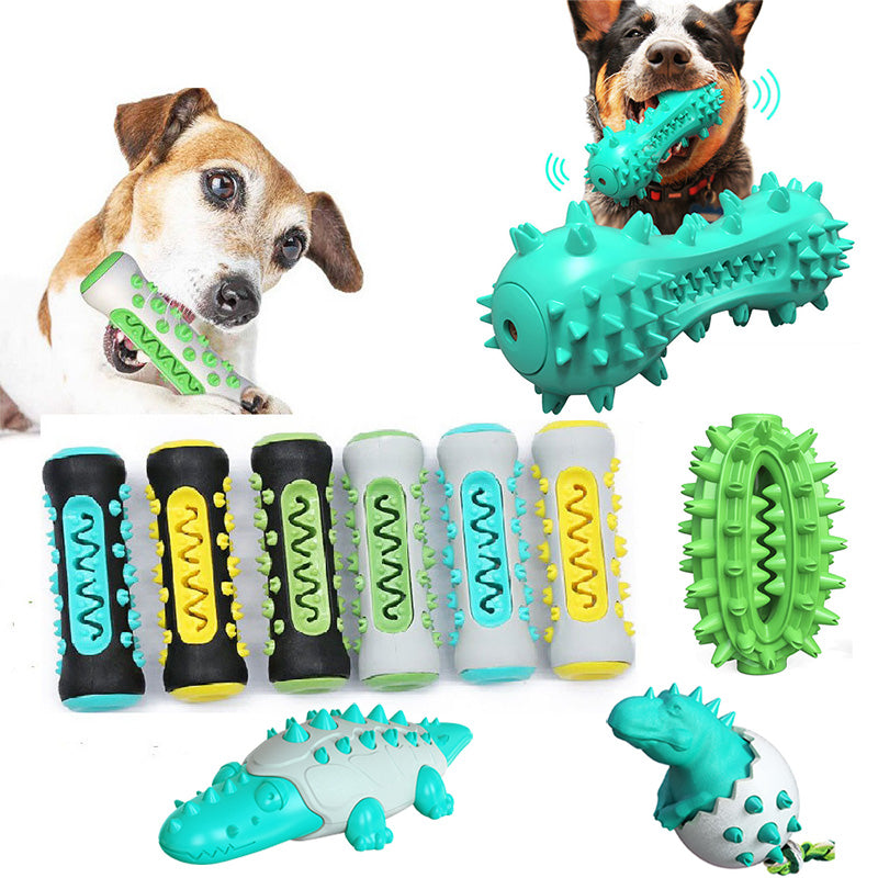 Jouet Molaire pour Chien – Brosse à Dents & Mordant