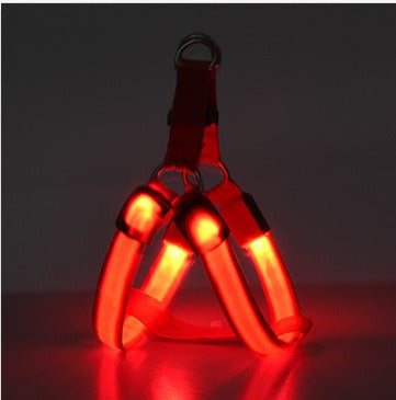 Harnais Lumineux LED pour Chien – Sécurité Nuit