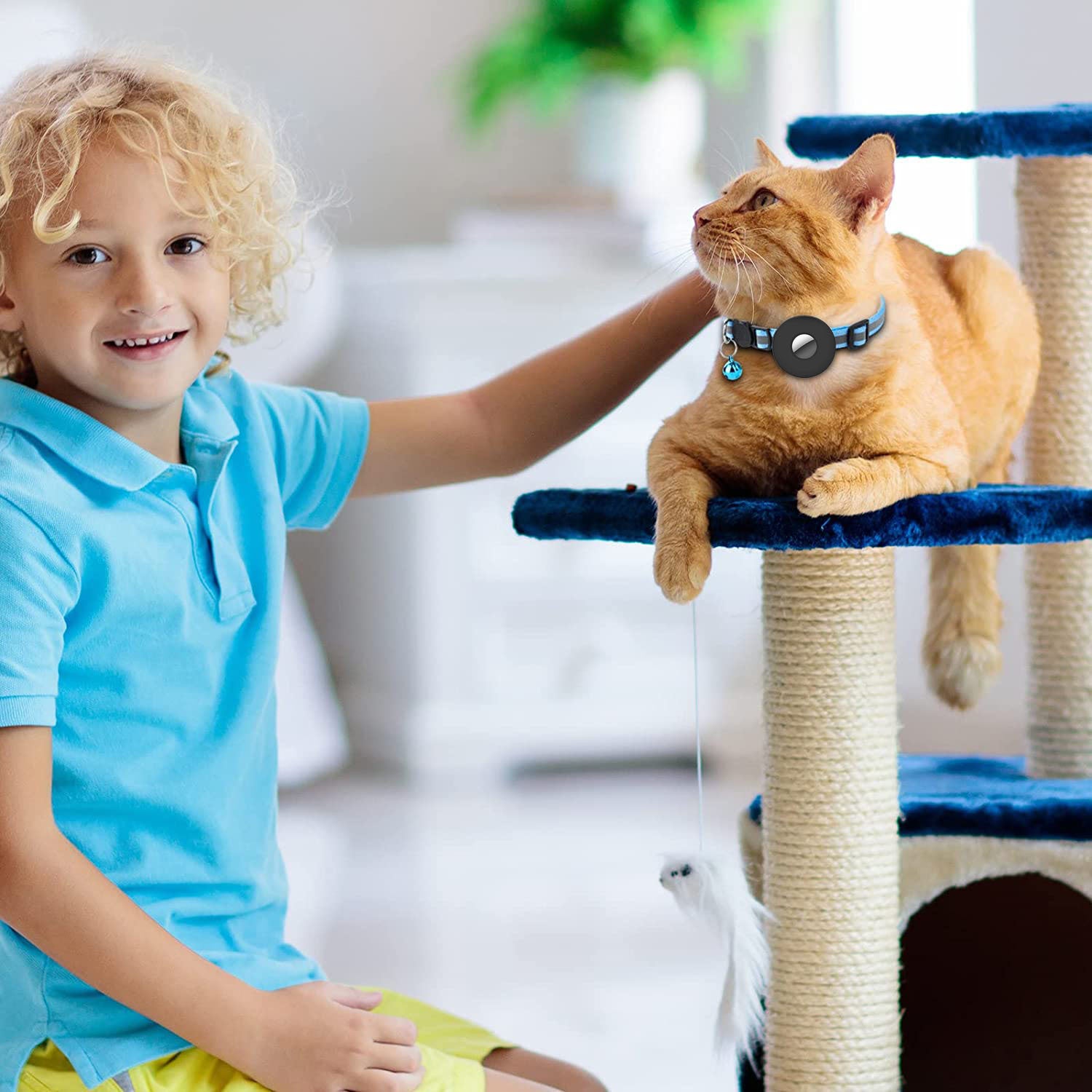Collier Chat Réfléchissant avec Porte-AirTag – Avec Clochette