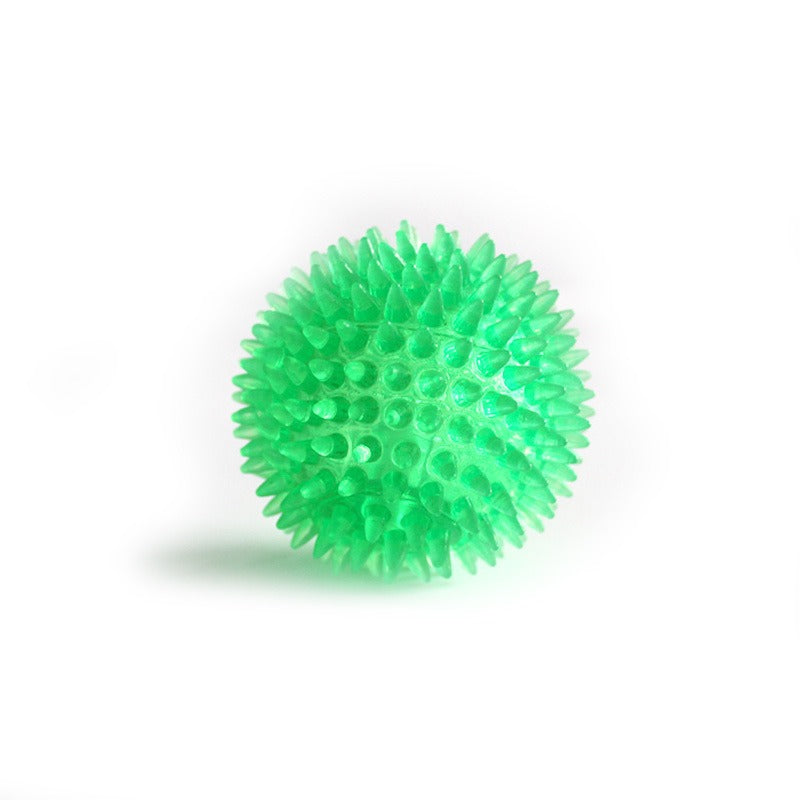 Balle Piquante Sonore pour Chien – Jouet Molaire 9cm