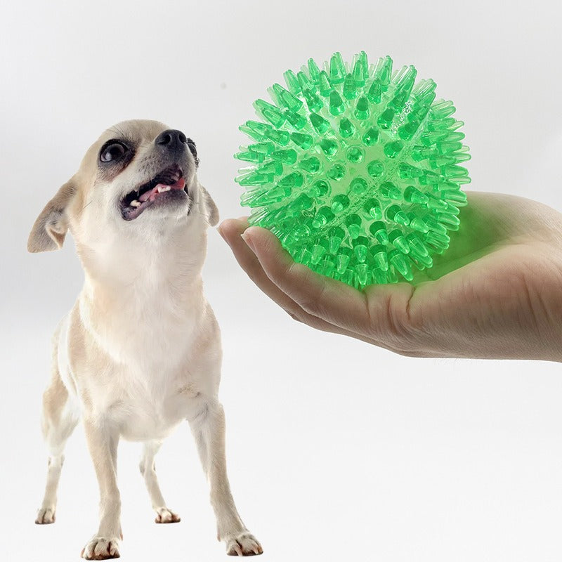 Balle Piquante Sonore pour Chien – Jouet Molaire 9cm