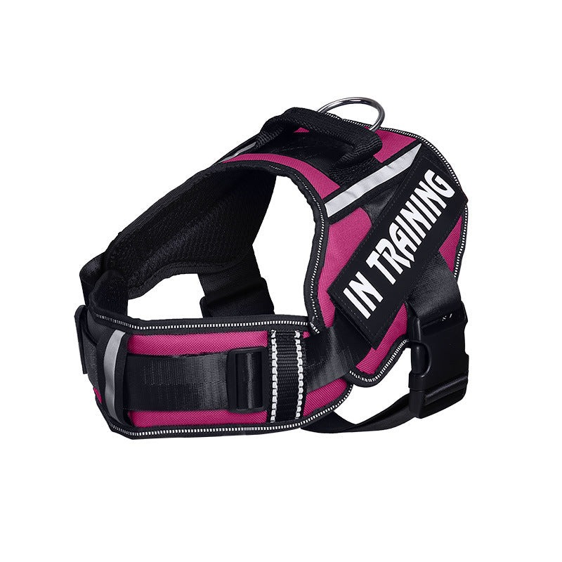 Neck Support Dog Harness with Reflective Pet Chest Harness and Leash, Direct Factory Supply Dog Lead and Pet Leash