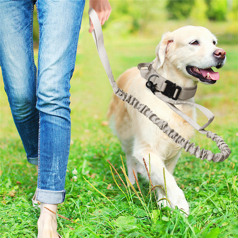 Collier Tactique Nylon pour Chien – Laisse Outdoor Ajustable