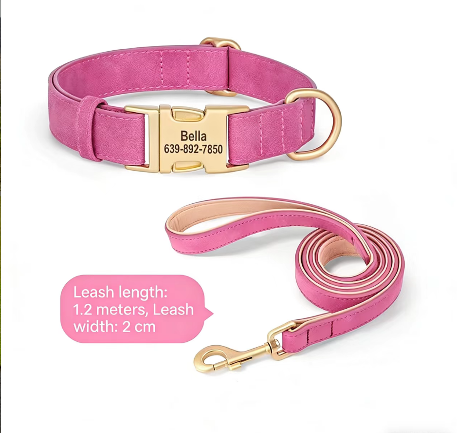 Collier Personnalisé pour Petit Chien – Teddy, Corgi & Petites Races