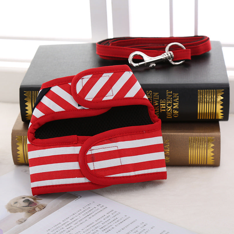 Harnais Marine 2-en-1 pour Chien – Laisse & Collier Inclus