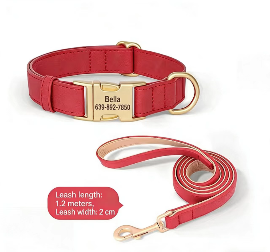 Collier Personnalisé pour Petit Chien – Teddy, Corgi & Petites Races