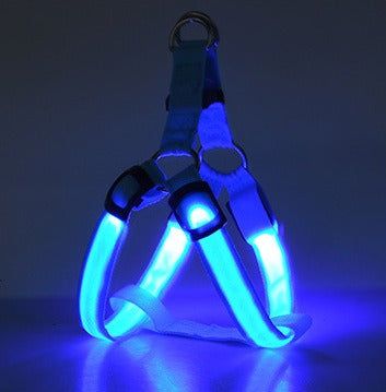 Harnais Lumineux LED pour Chien – Sécurité Nuit