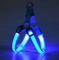 Harnais Lumineux LED pour Chien – Sécurité Nuit