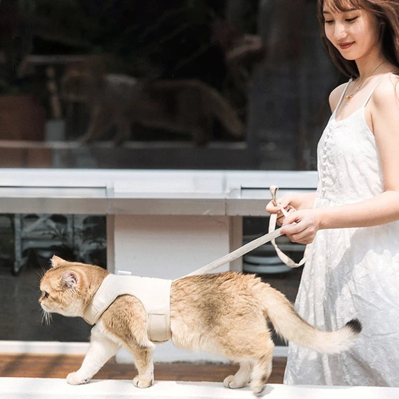 Harnais et Laisse pour Chat et Chien – Réglable et Confortable