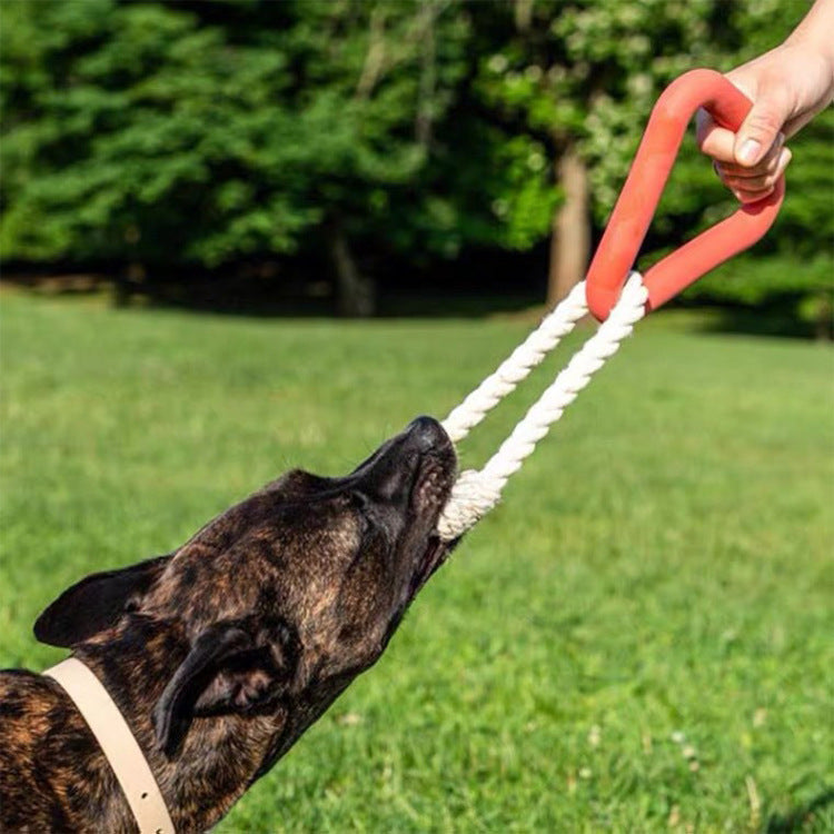 Jouet de Traction pour Chien – Mordant TPR Triangulaire Interactif