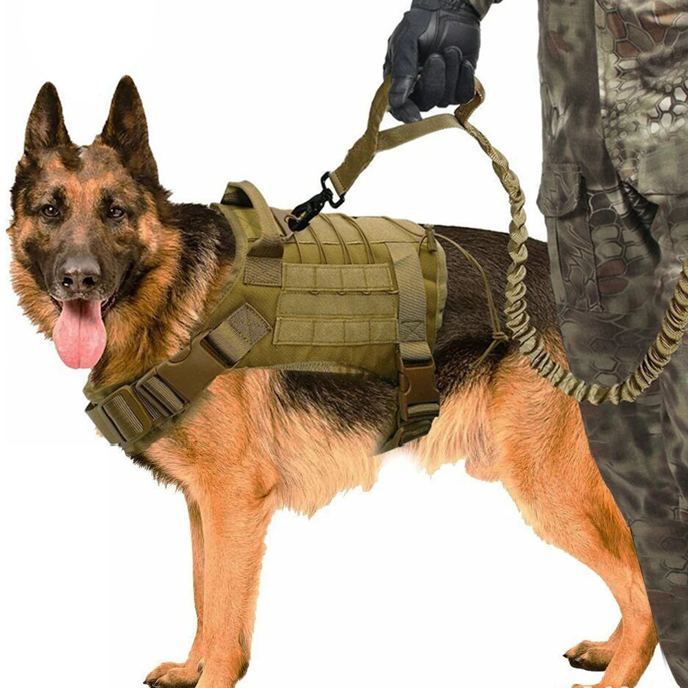 Gilet Tactique pour Chien – Style Militaire Respirant